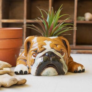 Box of 2 — Ceramic Bulldog Planter