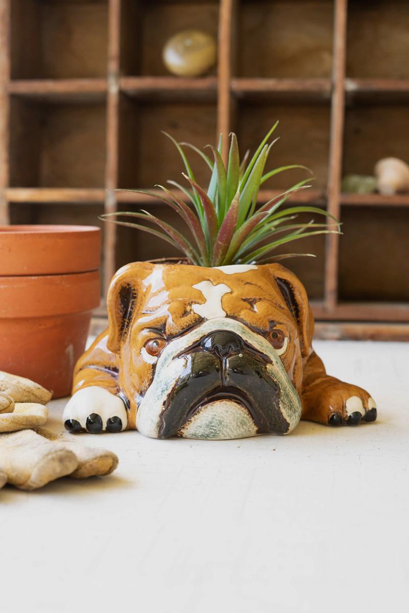 Box of 2 — Ceramic Bulldog Planter