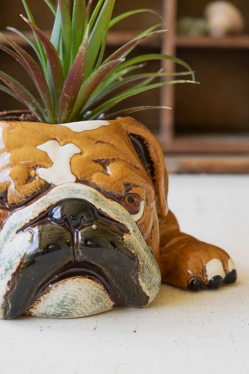 Box of 2 — Ceramic Bulldog Planter