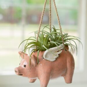 Box of 2 — Ceramic Hanging Flying Pig Planter