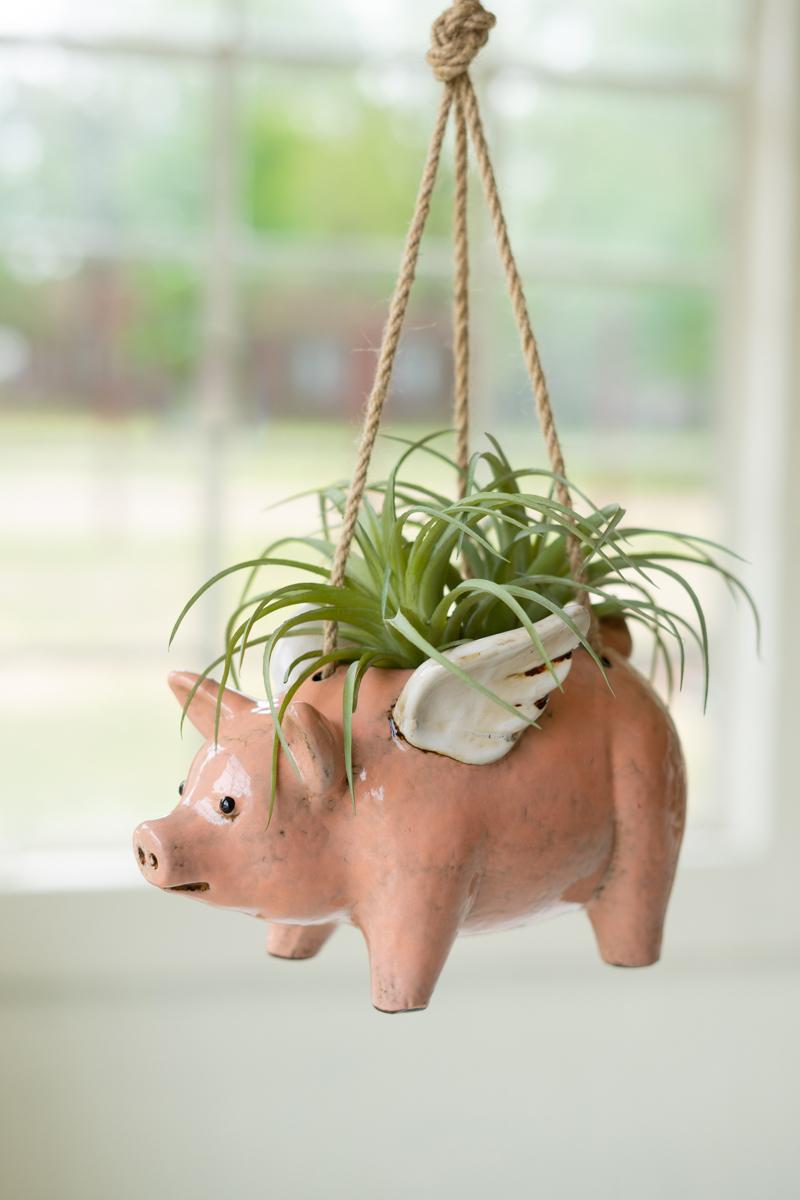 Box of 2 — Ceramic Hanging Flying Pig Planter