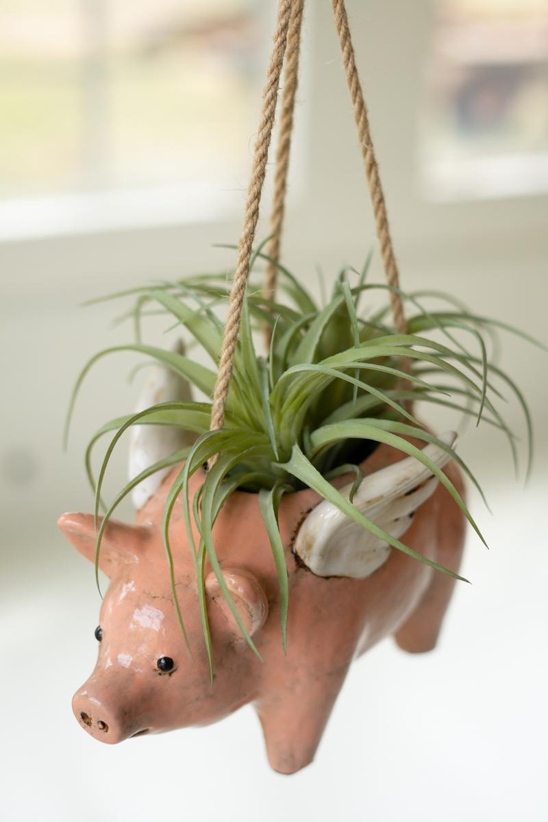 Box of 2 — Ceramic Hanging Flying Pig Planter