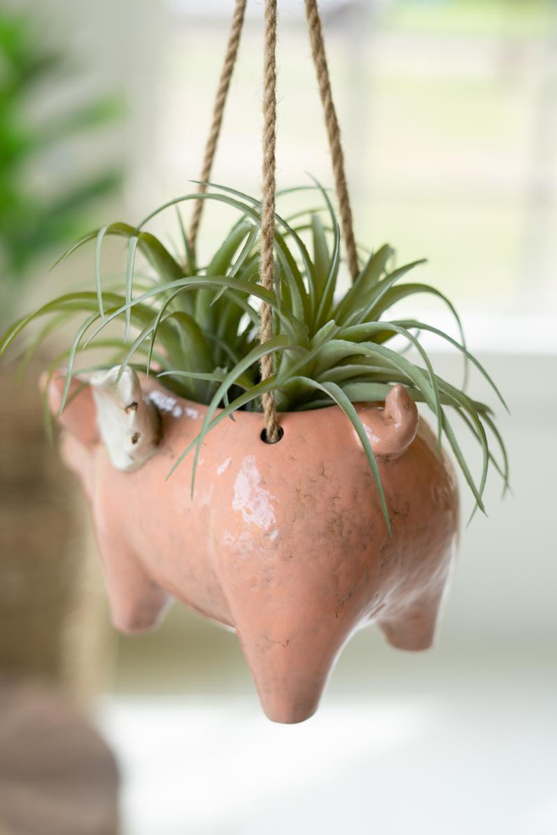 Box of 2 — Ceramic Hanging Flying Pig Planter