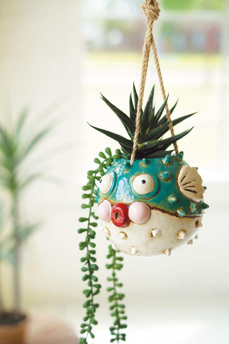 Box of 2 — Ceramic Hanging Blowfish Planter