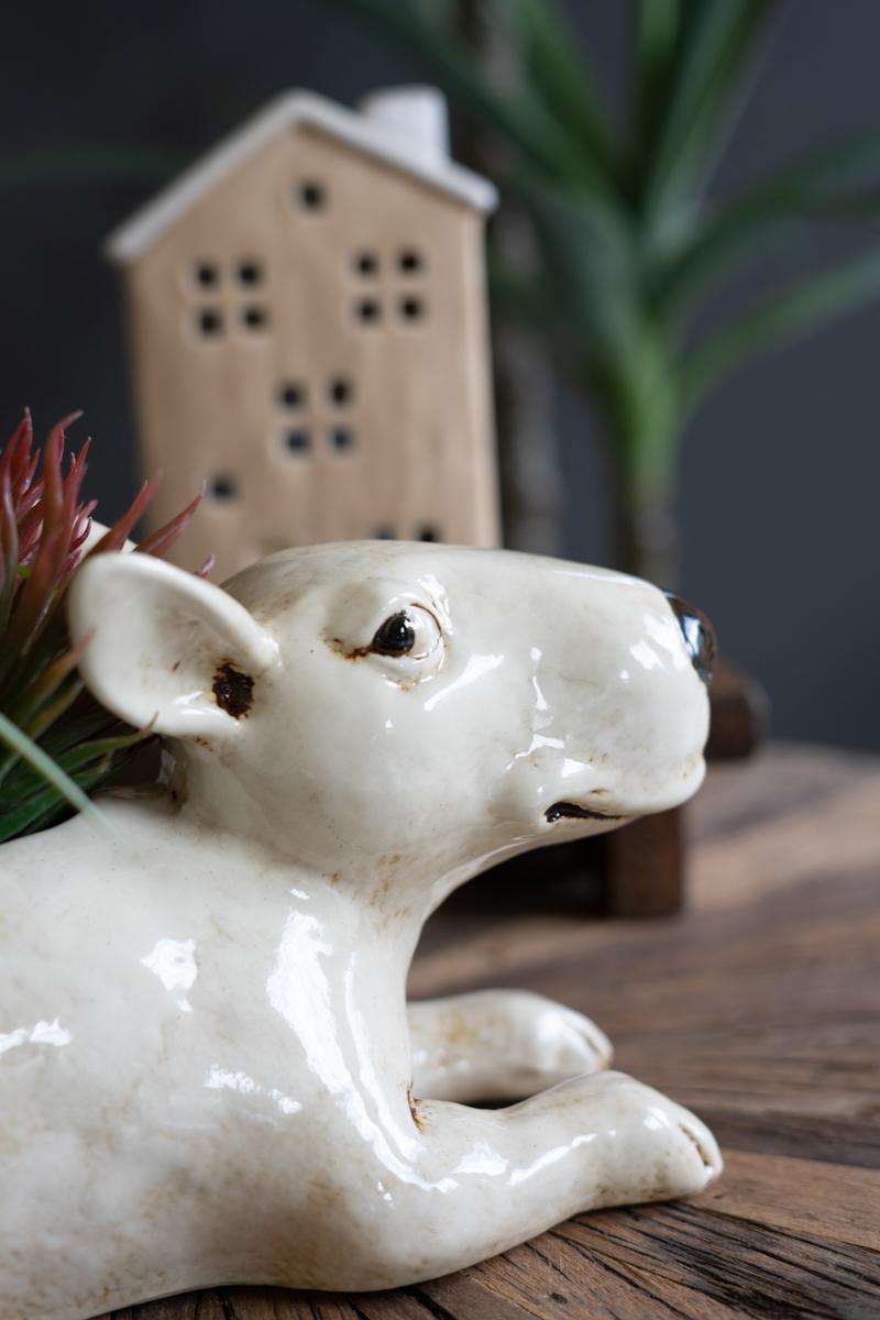 Box of 2 — Ceramic Bull Terrier Planter