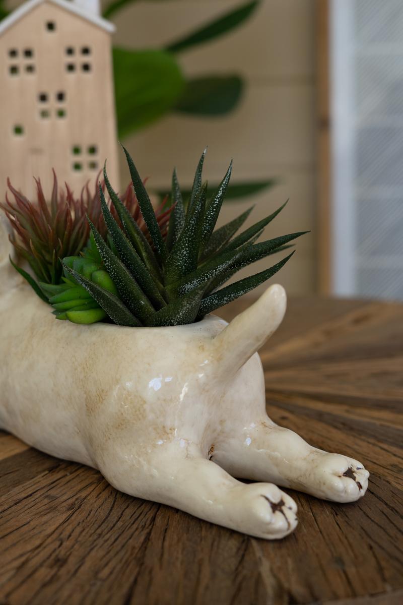 Box of 2 — Ceramic Bull Terrier Planter