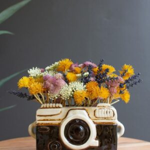Box of 2 — Ceramic Camera Planter