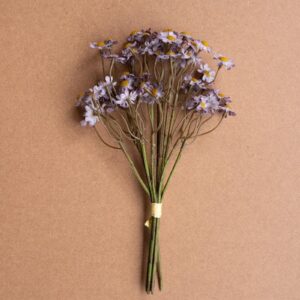 Chamomile Bundle (6 Stems) – Lavender, Purple
