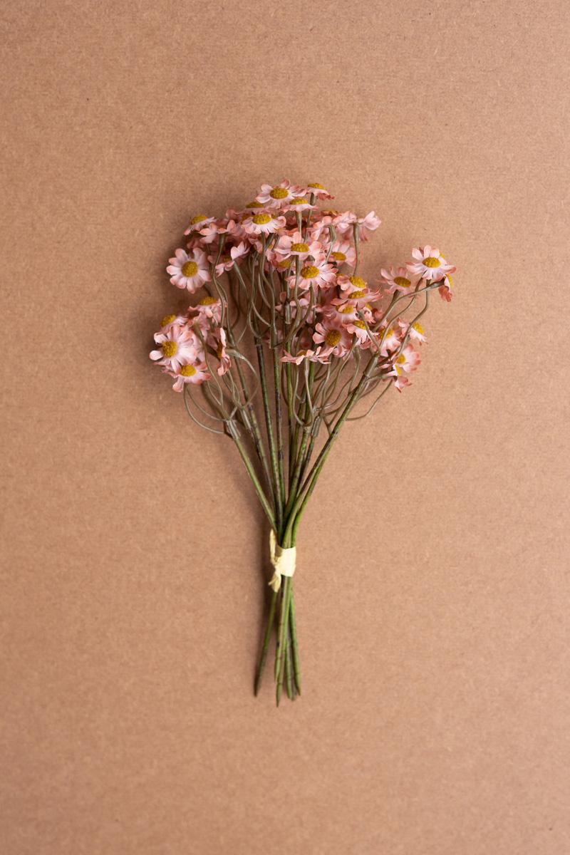 Chamomile Bundle (6 Stems) – Blush, Pink