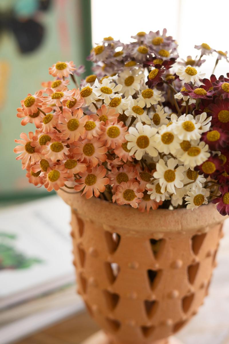 Chamomile Bundle (6 Stems) – Blush, Pink