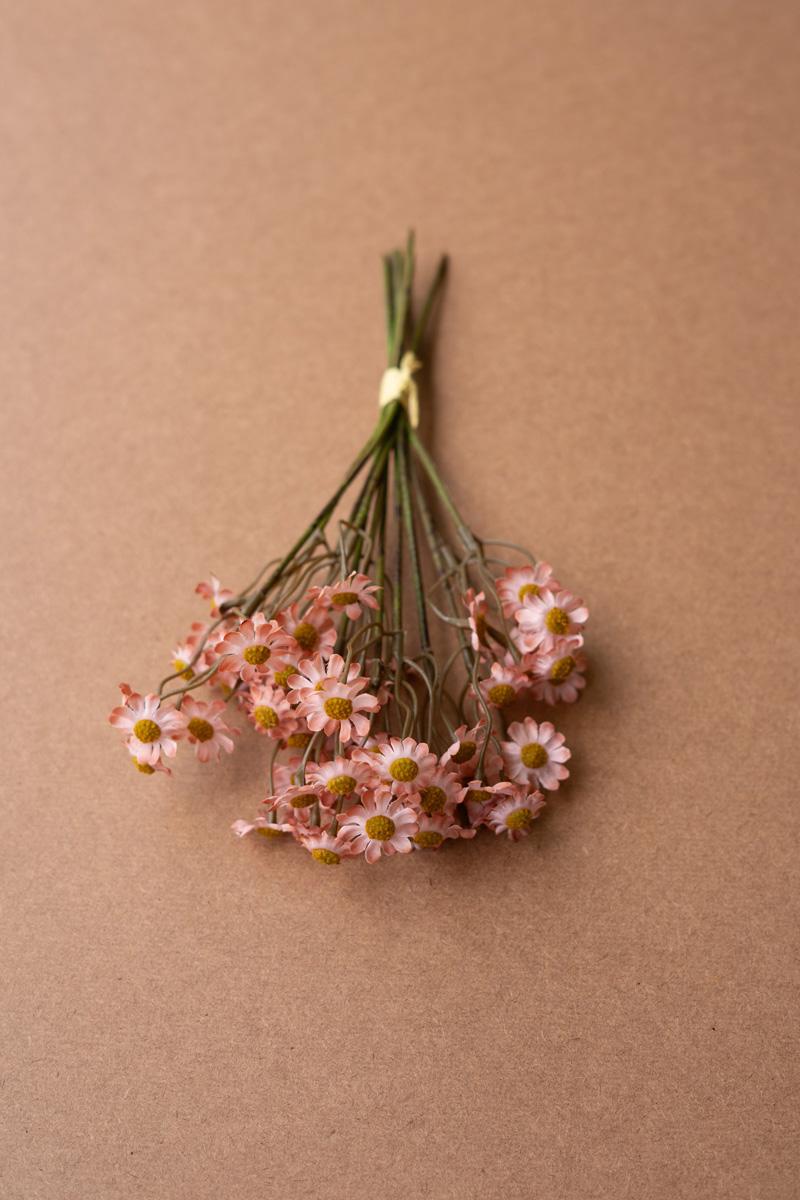Chamomile Bundle (6 Stems) – Blush, Pink