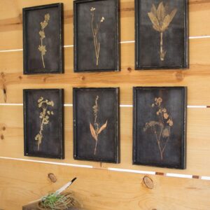 Botanical prints under glass