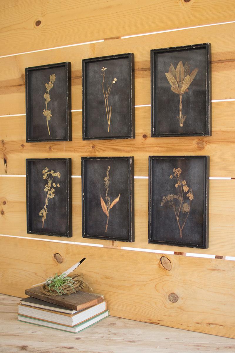 Botanical Prints Under Glass, Black
