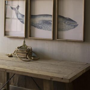 Triptych Framed Whale Print Under Glass, Gray