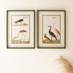 Bird prints under glass