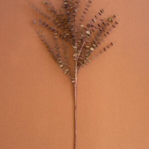 Botanica #850, Green
