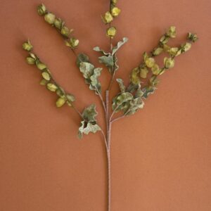 Botanica #3187, Green