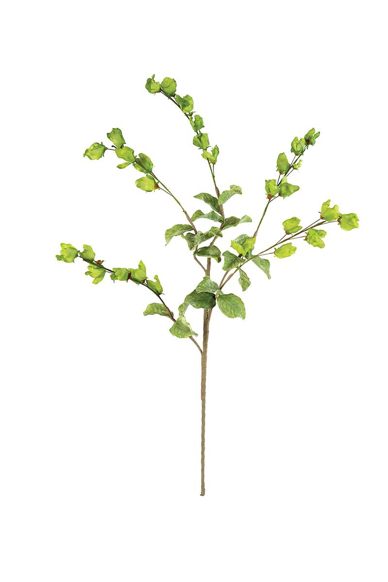 Botanica #3187, Green