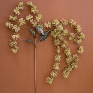 Botanica #3323, Green