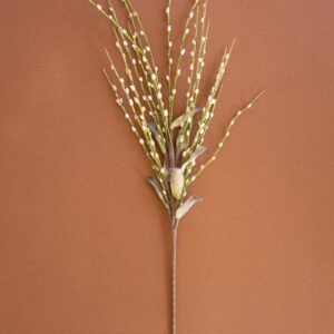 Botanica #3366, White