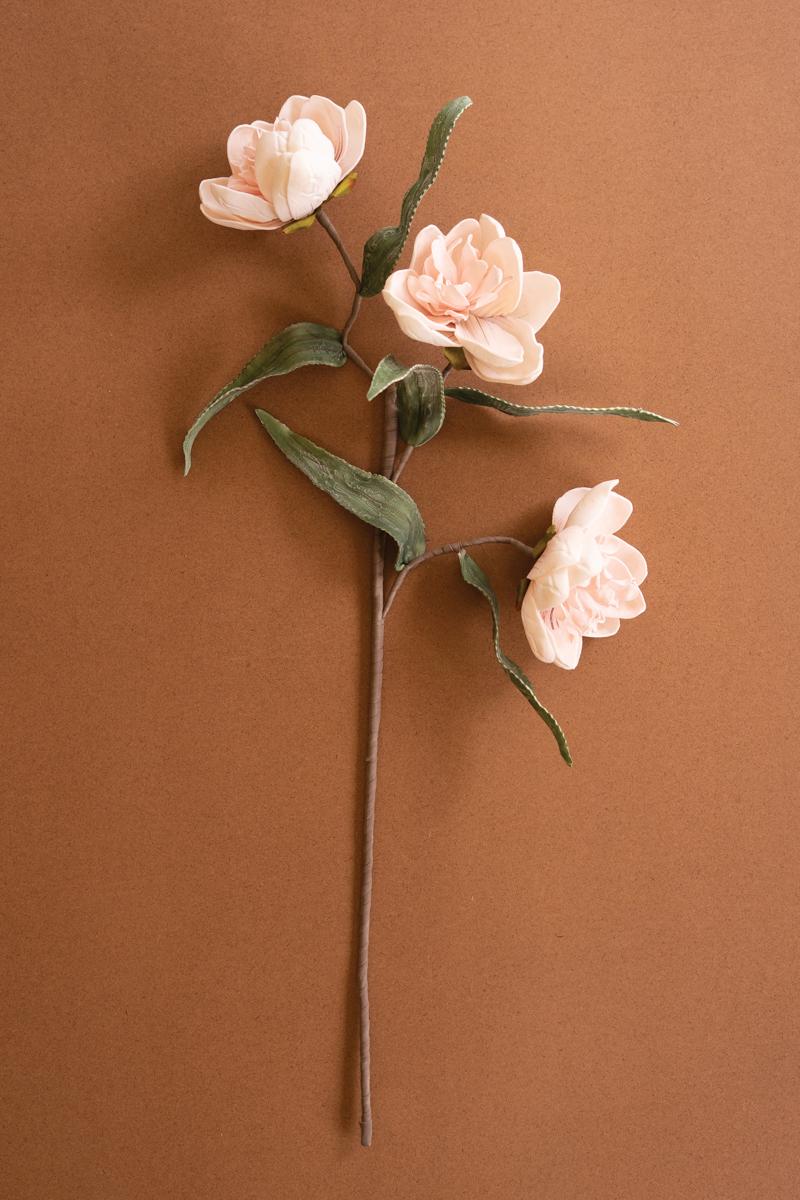 Botanica #3573
