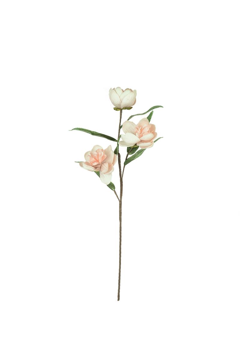 Botanica #3573