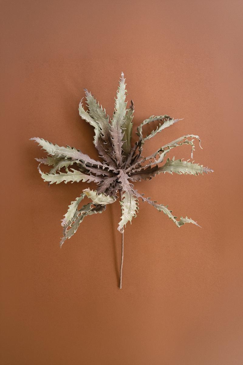 Botanica #3658, Green