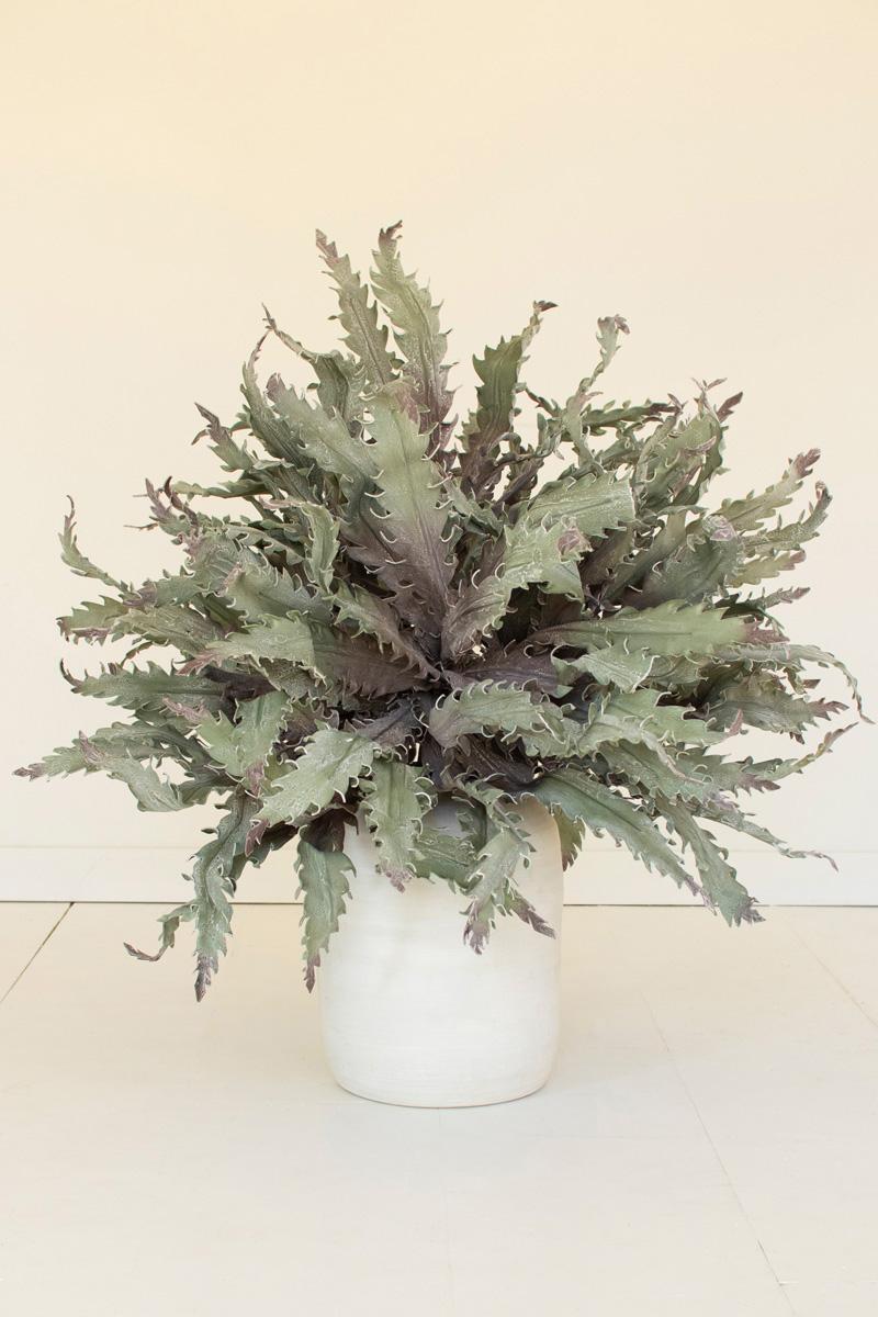 Botanica #3658, Green
