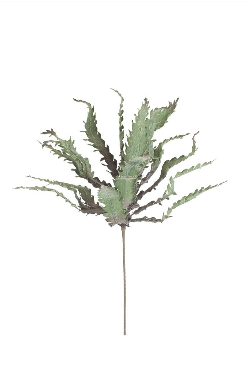 Botanica #3658, Green
