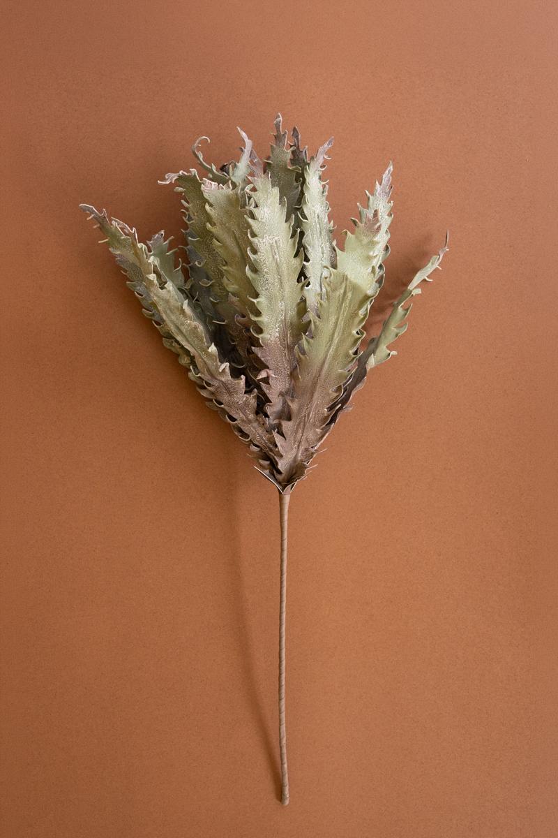 Botanica #3658, Green