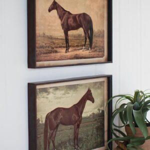 Horse Prints Under Glass
