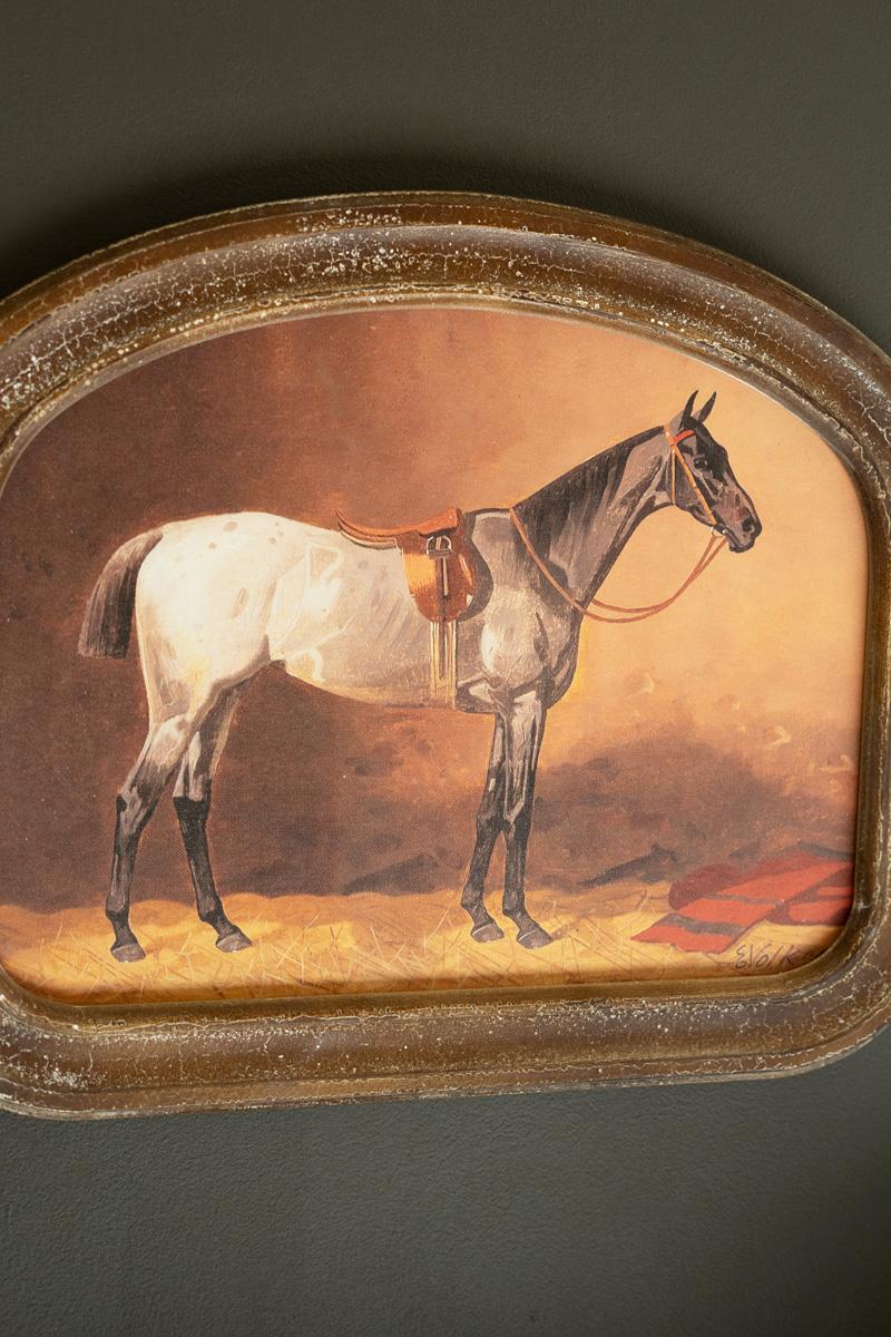 Framed Horse Prints Under Glass
