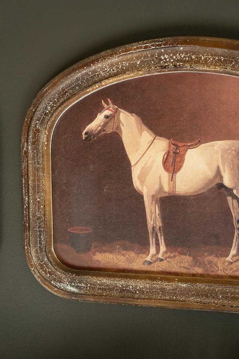 Framed Horse Prints Under Glass