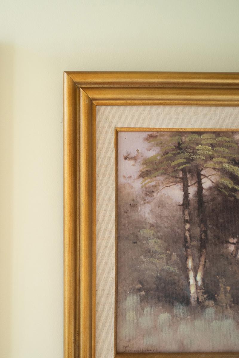 Framed Landscape Prints