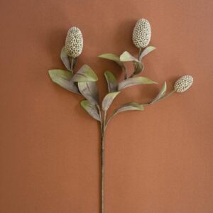 Botanica #2065, Green