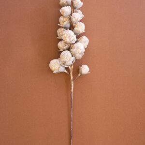 Botanica #2297, White