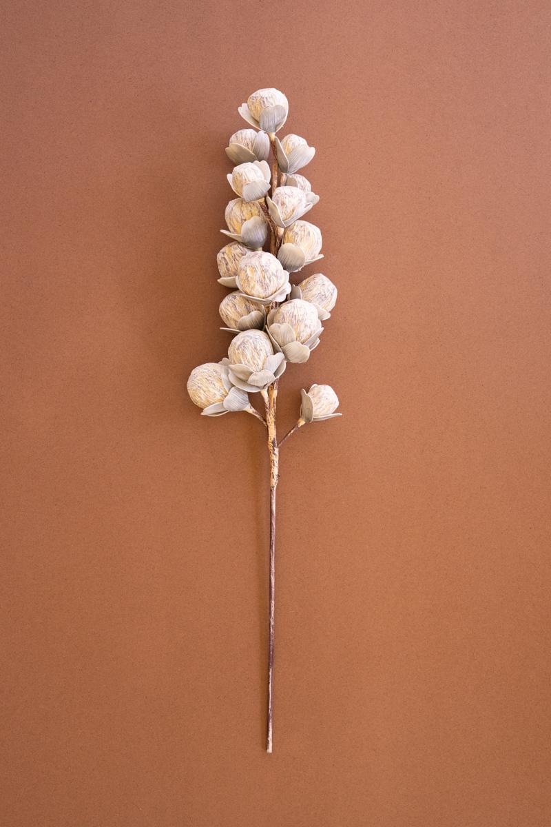 Botanica #2297, White