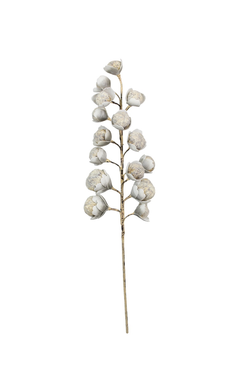 Botanica #2297, White