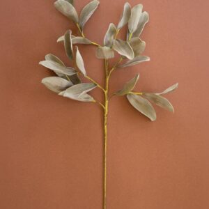 Botanica #2425, Green