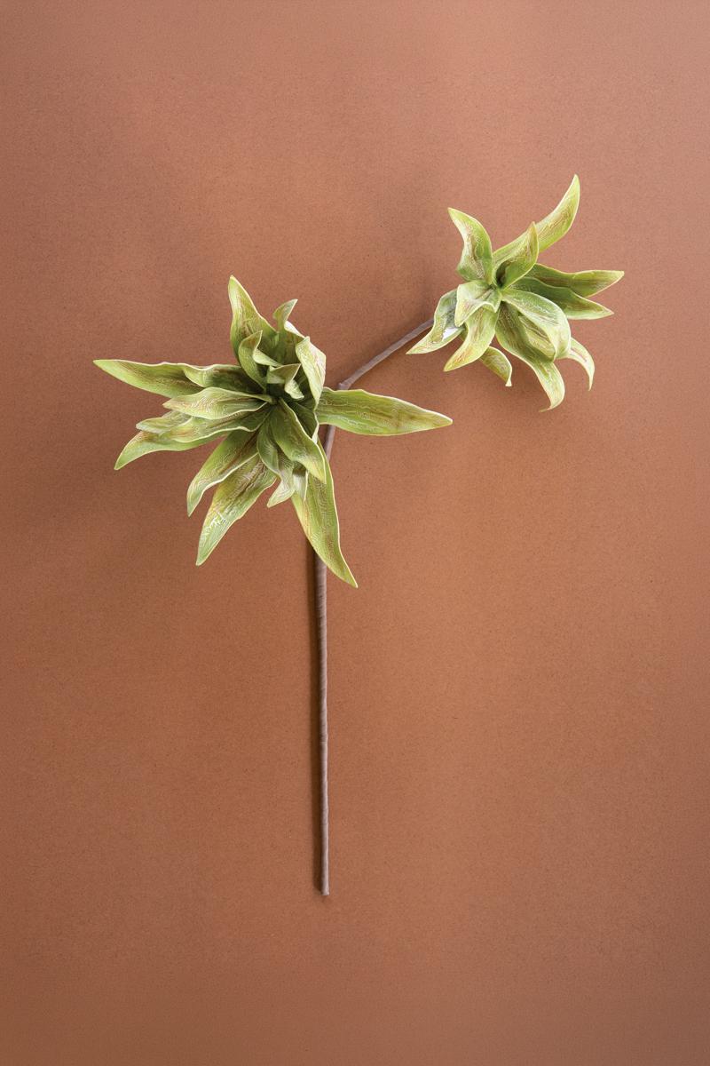 Botanica #2654, Green