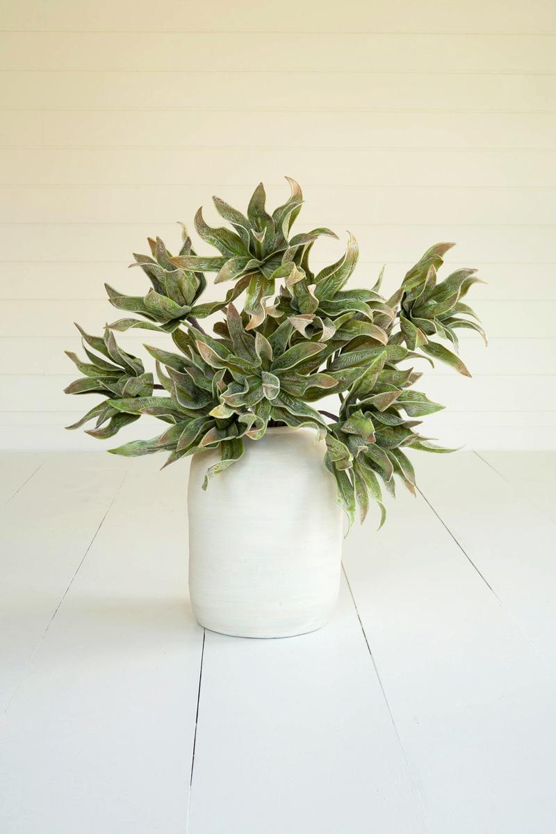 Botanica #2654, Green