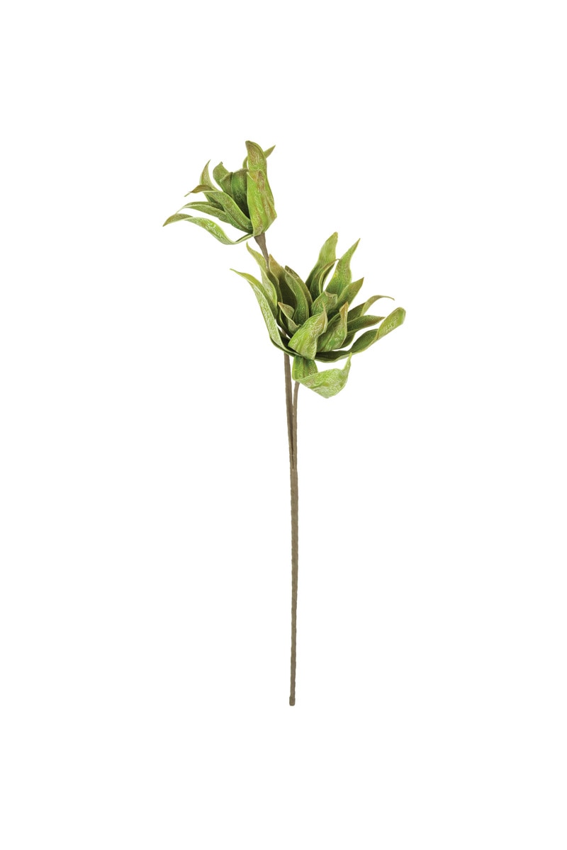Botanica #2654, Green
