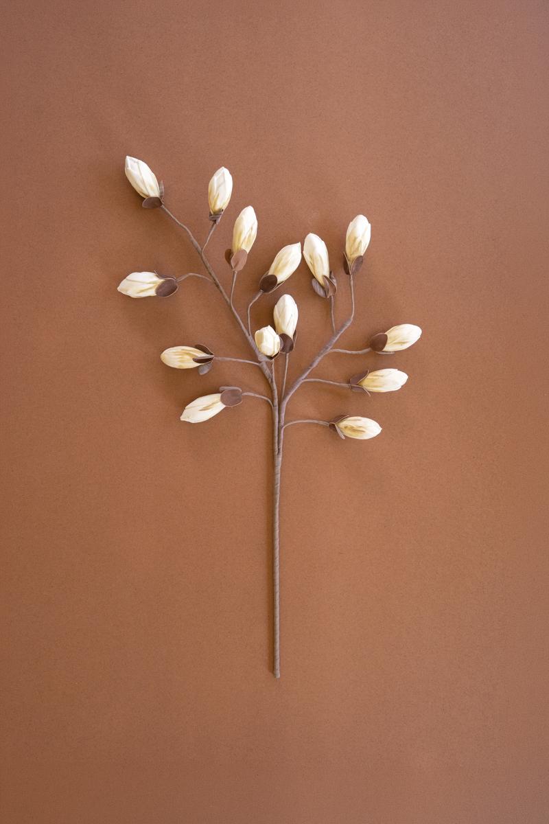 Botanica #2716