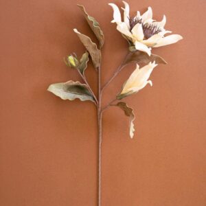 Botanica #2797