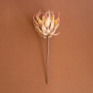 Botanica #2855