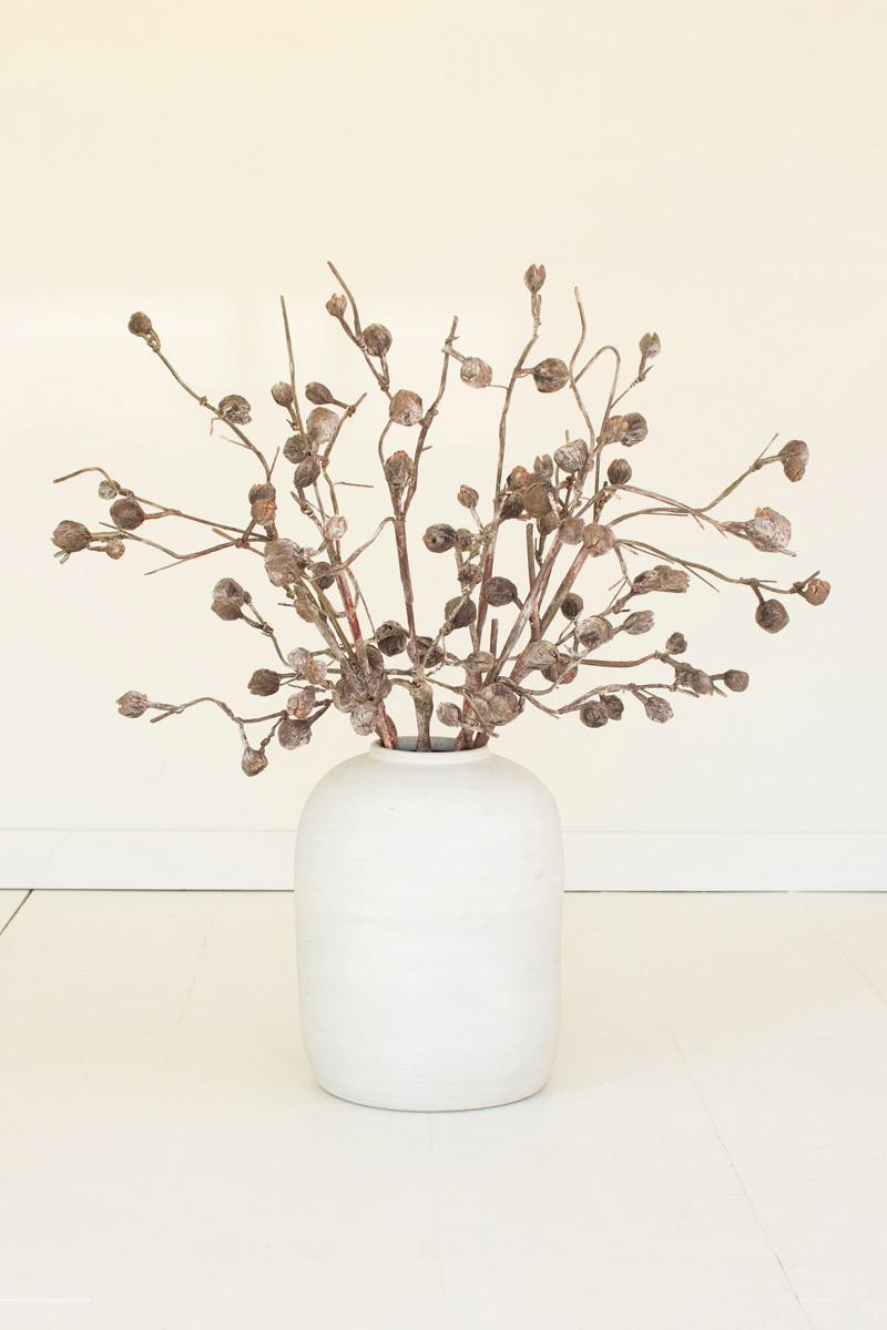 Botanica #2863