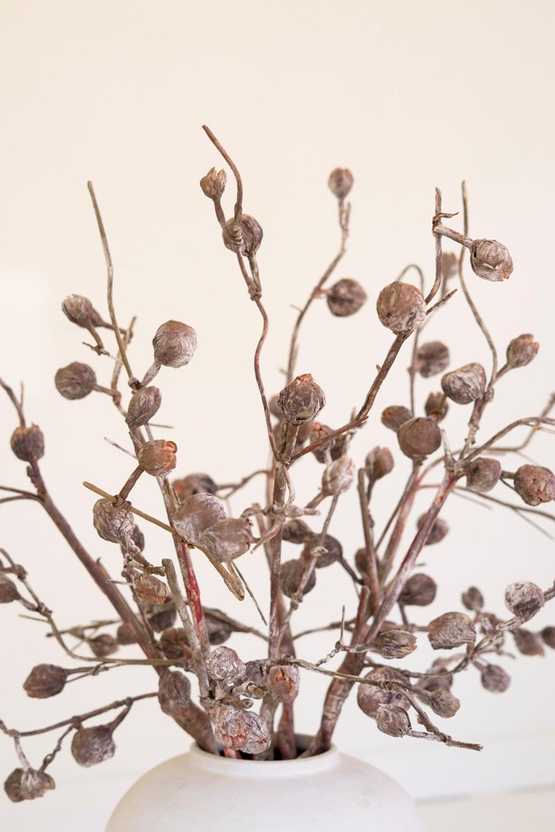 Botanica #2863