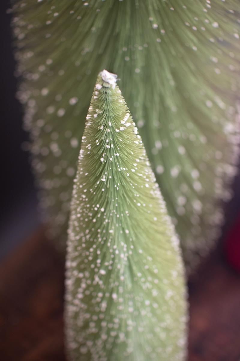 Giant Bottle Brush Christmas Trees, Green