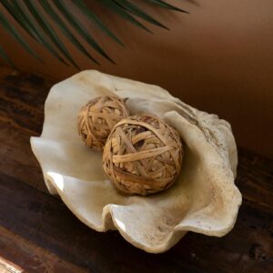 Giant Resin Clam Shell, White