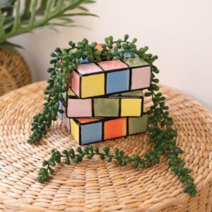 Box of 2 — Ceramic Game Cube Bud Vase